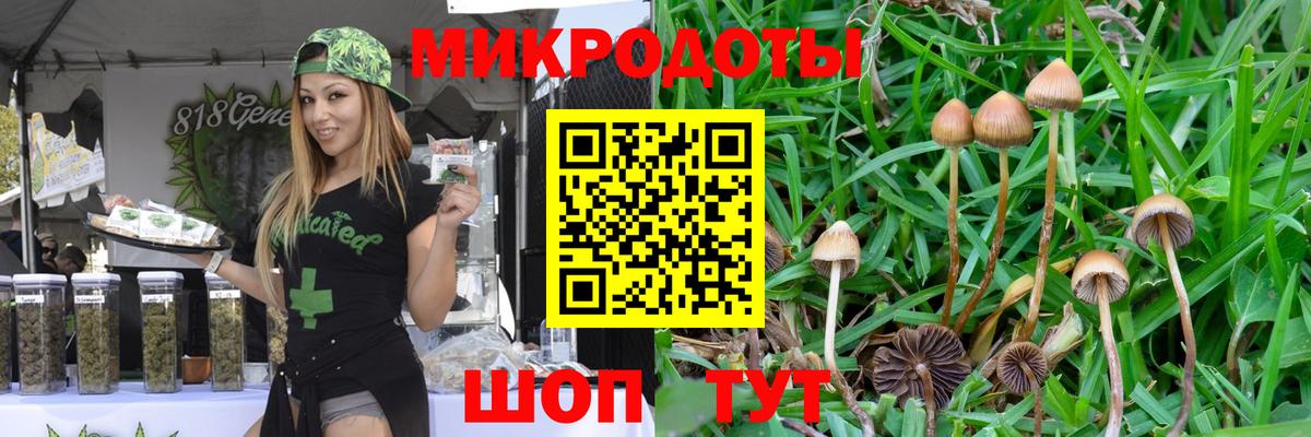 Мичуринск  ГЕРОИН  APVP СОЛЬ   Каннабис  COCAIN  ГАШ  Гашиш  Вход с VPN  МДМА  Каннабис  Меф МЯУ МЯУ  